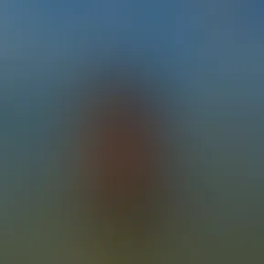 🤠🤠
