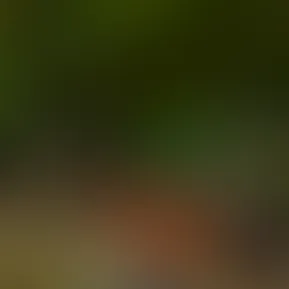 A montage of my sexy man shirtless because he’s looking FIT 🔥
(And if anyone wants any content of us together…there’s a couple of secret tapes we have for those that place a special request shhh)