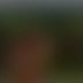 2026-05-12 09.41.12.mov