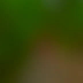 844ACF59-D29B-445A-B47D-FA61B88CAA99.jpg