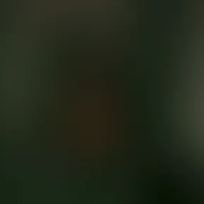 copy_090740d7-2081-4886-9233-4f4fd28f12c4.mov