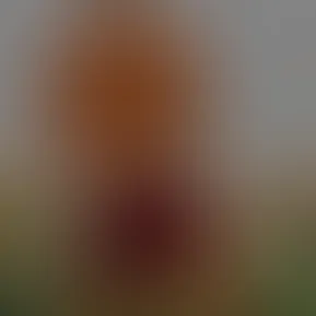 What’s happenin ferkers! Thanks for joining my Fanfix🚀! I am excited to show you the behind the scenes of my life and truly build a 1 on 1 connection with you! Going to be posting lots of pictures and videos with my closest friends, gym content, BTS of Netflix and all the exciting things in my life! Can’t wait to crush!