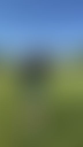 How to chip from 4 different lies in the rough (part3/5)