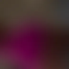 2d79e66d60dd489889c717e7f53a53c5.mov