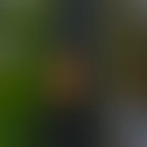 09-02-2024-09-33-07.jpg