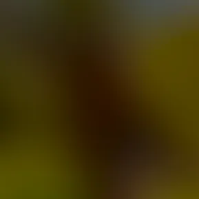 I’m not sure if I should change my posting times on TikTok or just say fuck it and ball