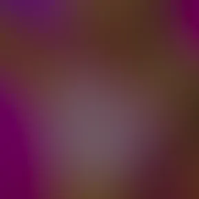 export.mp4