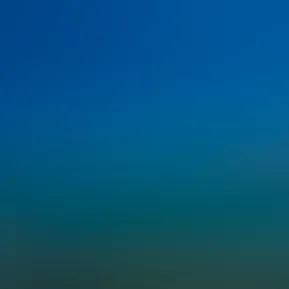 3A650333-75BB-4A81-AA5A-E25AA40FD6FA.jpg