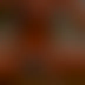 13g.mov