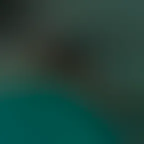 0e883c17-04ad-4dd9-80f4-7328922d413c.mp4