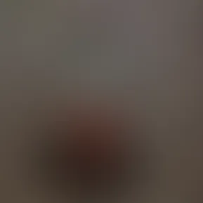 upload.jpeg