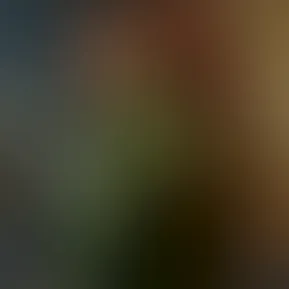 a0d83027-be9e-44f6-9749-0573d6116b94.mp4
