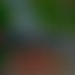 1B216B0B-FF07-4E16-9DF9-CC69543693AD.jpeg