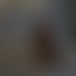 Episode 5 Wittnesing.mp4
