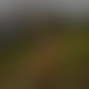 Facetune_04-06-2023-22-01-11.jpg