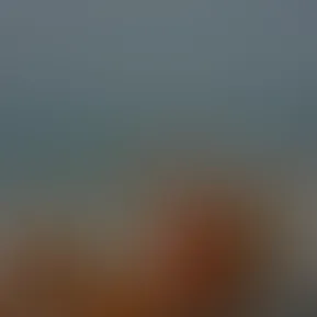facetune_17-07-2025-21-25-04.jpg