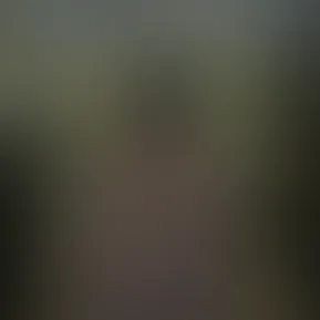 4a92047ad60a49d4a76d85f420042db3.MOV