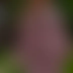 f17259bcae4f4c5fae99e5eb7db1a609.mov