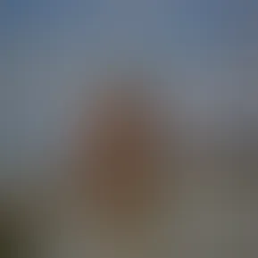 2026-07-24 20.40.26.jpg