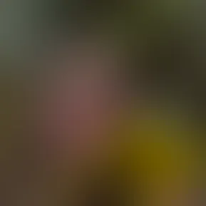 c596262580e34775aac31f3388621540.mov