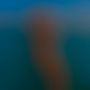 IMG_9351.jpg