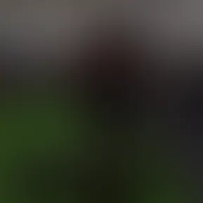 c0079.mp4