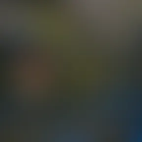 fans-2.mp4