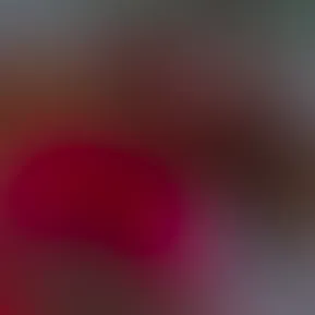 0b43a70f936f4677b66d7c09f28acf77.mp4