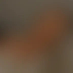 screenshot 2025-07-29 205406.png