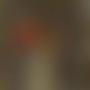 facetune_03-06-2025-16-48-06.jpg