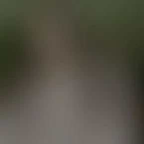 wall post.mov