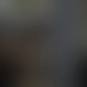 🤍🤍🤍