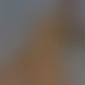 734379488883411504.mp4