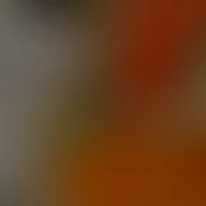 2026-03-18 14.33.02.mov