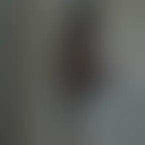 Facetune_05-11-2024-13-57-01.jpg