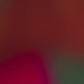 -5595257268137450961.mp4