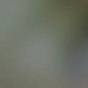 0acd6c04-9601-487d-8f5a-663bf4bce094.mov