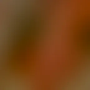 48e238ec-8481-430a-b807-c466544ee71d.mp4