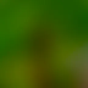20250225141035745.jpg