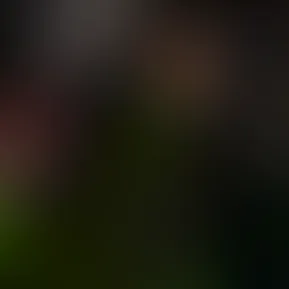 Untitled613_20241006172021.png