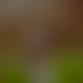 👁️