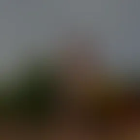 copy_f165b5d8-217c-40f5-86de-5f35ba1faa86.mov