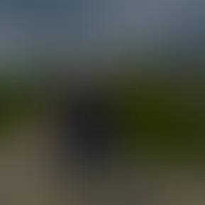 The views are amazing