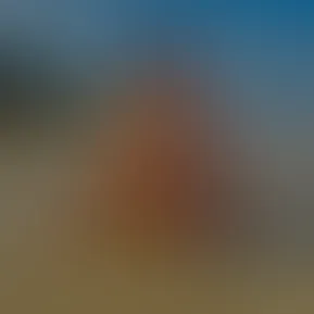 fullsizerender.jpg