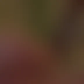 0hbpm9roxlntuze6leari_source.mov