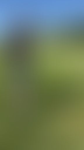 How to chip from 4 different lies in the rough (part4/5)