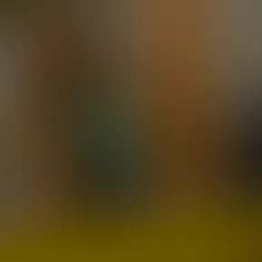 Screenshot 2024-01-25 110306.png
