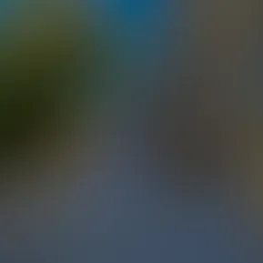 🐣