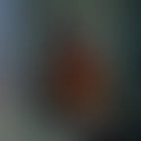 56536681-0989-4725-8aa5-82414a7bf9a0.jpg