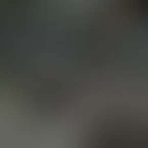 douchekid.mov